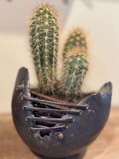 Img 4399